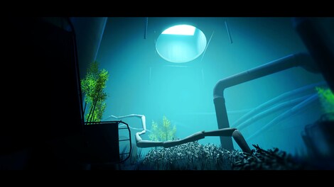 Acanthoceras (PC) - Steam Key - GLOBAL - 6