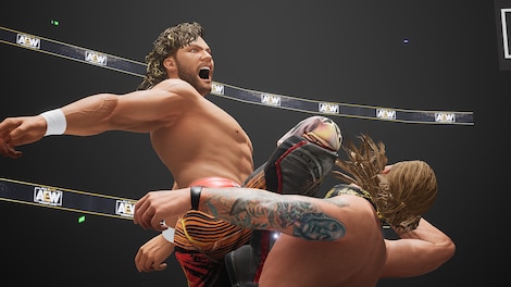 AEW: Fight Forever | Elite Edition (PC) - Steam Gift - GLOBAL - 3