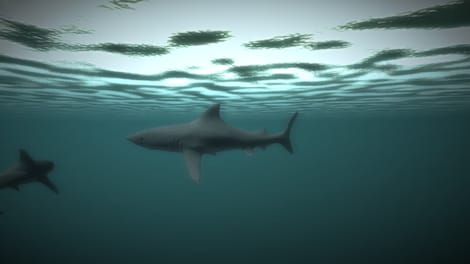 Age of Survival (PC) - Steam Gift - GLOBAL - 17