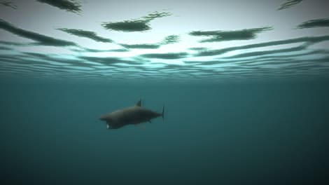 Age of Survival (PC) - Steam Gift - GLOBAL - 19