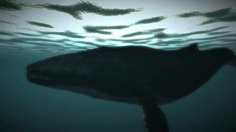 Age of Survival (PC) - Steam Key - GLOBAL - 6