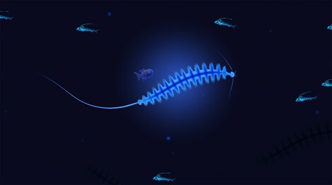 Akuatica Steam Key RU/CIS - 6