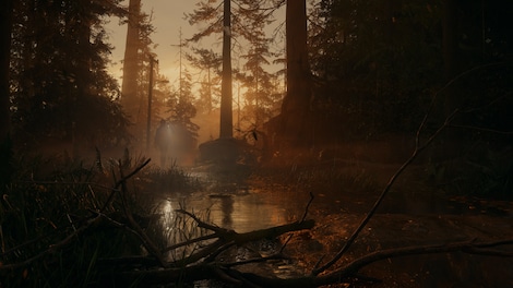 Alan Wake 2 | Deluxe Edition (PC) - Green Gift Key - GLOBAL - 4