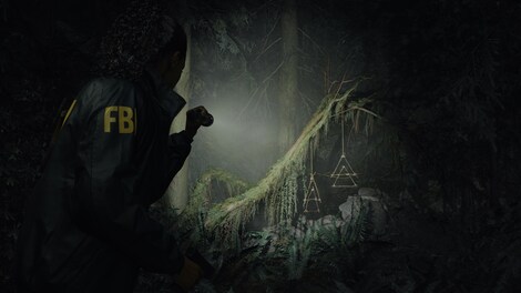 Alan Wake 2 (PC) - Epic Games Key - EUROPE - 9