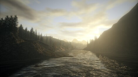 Alan Wake Collector's Edition GOG.COM Key GLOBAL - 4