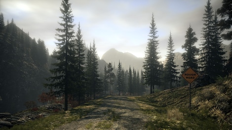 Alan Wake Steam Key GLOBAL - 5