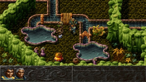 Albion GOG.COM Key GLOBAL - 6