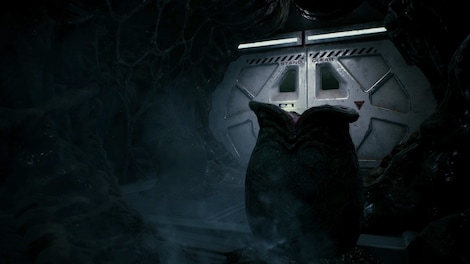 Aliens: Fireteam Elite | Into the Hive Edition (PC) - Steam Key - NORTH AMERICA - 8