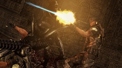 Aliens vs Predator Steam Gift GLOBAL - 7