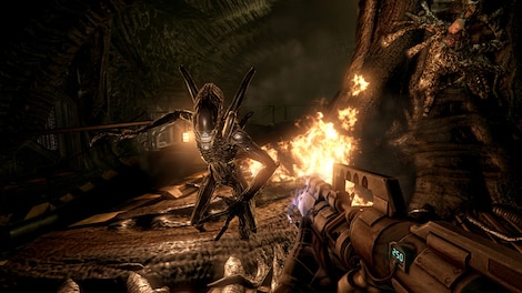 Aliens vs Predator Steam Gift LATAM - 8