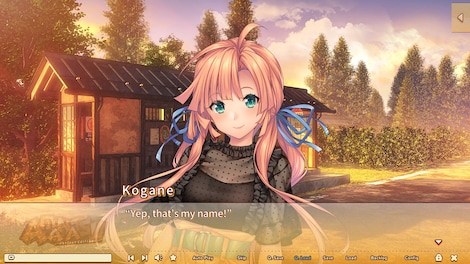 Amanatsu: Perfect Edition (PC) - Steam Account - GLOBAL - 14