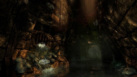 Amnesia: The Dark Descent (PC) - Steam Gift - GLOBAL - 7