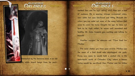 An Assassin in Orlandes Steam Key GLOBAL - 5