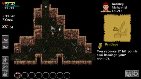 Ananias Roguelike Steam Key GLOBAL - 0