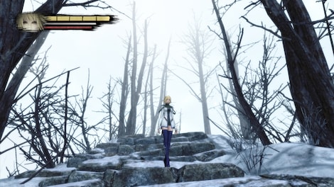 Anima Gate of Memories Steam Key GLOBAL - 12