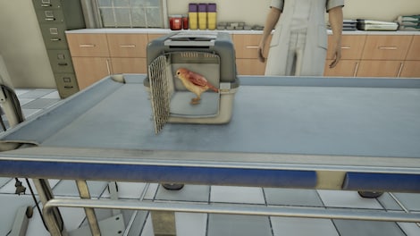 Animal Doctor (PC) - Steam Gift - EUROPE - 15