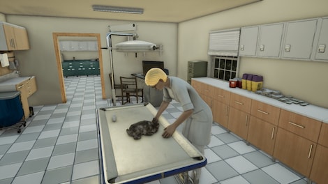 Animal Doctor (PC) - Steam Key - GLOBAL - 4