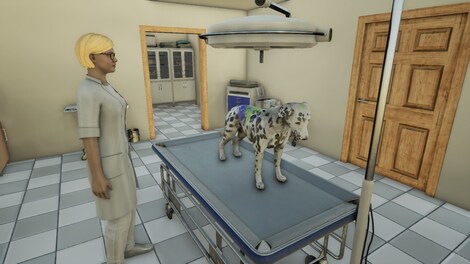 Animal Doctor (PC) - Steam Key - GLOBAL - 13