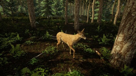 Animal Doctor (Xbox One) - Xbox Live Key - ARGENTINA - 3