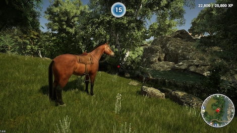 Animal Doctor (Xbox One) - Xbox Live Key - ARGENTINA - 10