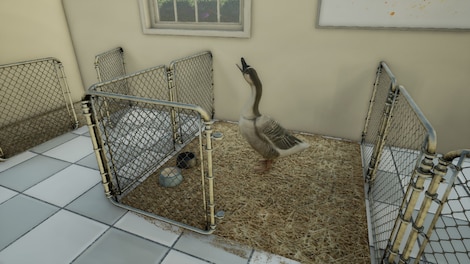Animal Doctor (Xbox One) - Xbox Live Key - ARGENTINA - 8