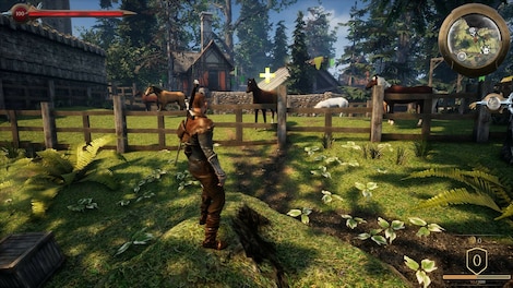 Animal Rescuer (PC) - Steam Key - GLOBAL - 11