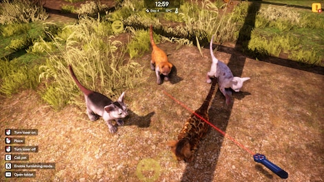 Animal Shelter 2 (PC) - Steam Key - GLOBAL - 10