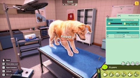 Animal Shelter 2 (PC) - Steam Key - GLOBAL - 3