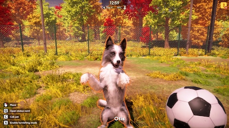 Animal Shelter 2 (PC) - Steam Key - GLOBAL - 8