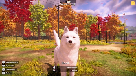 Animal Shelter 2 (PC) - Steam Key - GLOBAL - 13