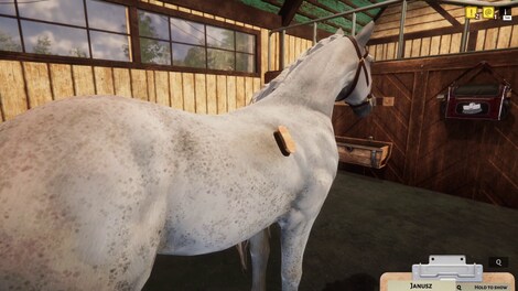 Animal Shelter - Horse Shelter (PC) - Steam Gift - GLOBAL - 8