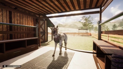 Animal Shelter - Horse Shelter (PC) - Steam Key - EUROPE - 14