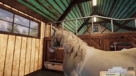 Animal Shelter - Horse Shelter (PC) - Steam Key - EUROPE - 6