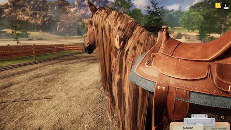 Animal Shelter - Horse Shelter (PC) - Steam Key - EUROPE - 9