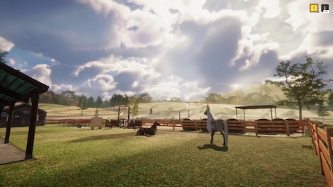 Animal Shelter - Horse Shelter (PC) - Steam Key - EUROPE - 5