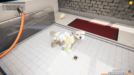 Animal Shelter (PC) - Steam Gift - NORTH AMERICA - 15