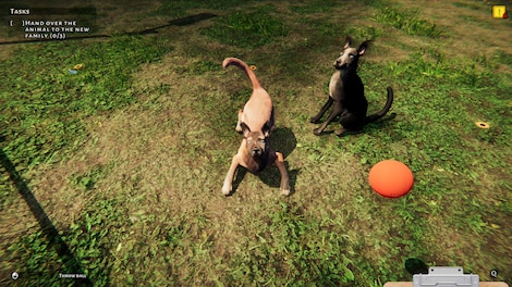 Animal Shelter (PC) - Steam Key - GLOBAL - 19