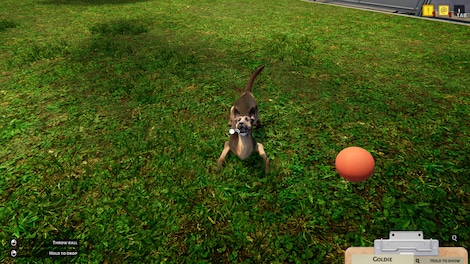 Animal Shelter (PC) - Steam Key - GLOBAL - 8