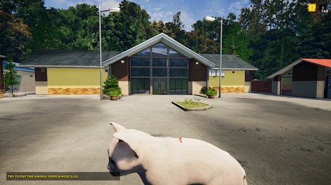 Animal Shelter Simulator: Puppies & Kittens (PC) - Steam Key - GLOBAL - 9
