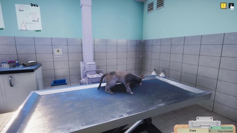 Animal Shelter: Vet Clinic (PC) - Steam Key - GLOBAL - 4