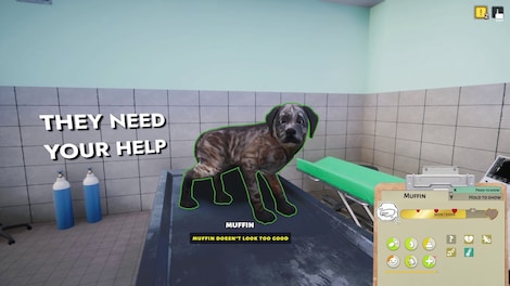 Animal Shelter: Vet Clinic (PC) - Steam Key - LATAM - 13