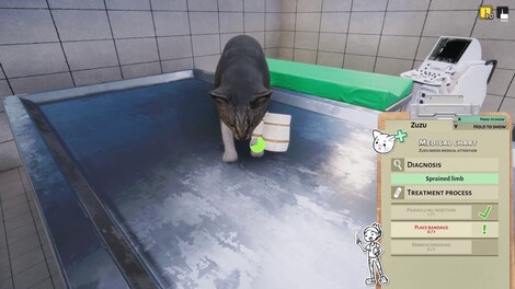 Animal Shelter: Vet Clinic (PC) - Steam Key - LATAM - 12