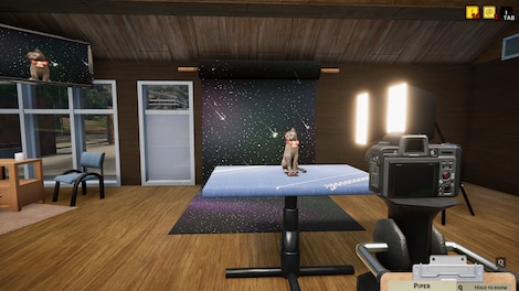Animal Shelter (Xbox One) - Xbox Live Key - EUROPE - 5