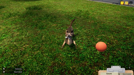 Animal Shelter (Xbox One) - Xbox Live Key - EUROPE - 8
