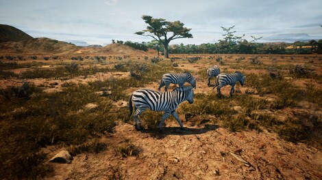Animalia Survival (PC) - Steam Gift - GLOBAL - 8