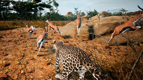 Animalia Survival (PC) - Steam Gift - NORTH AMERICA - 3