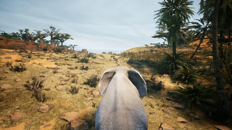 Animalia Survival (PC) - Steam Key - EUROPE - 11