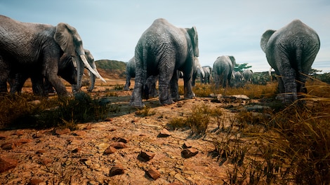 Animalia Survival (PC) - Steam Key - EUROPE - 7