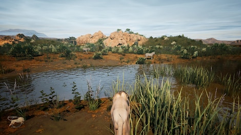 Animalia Survival (PC) - Steam Key - GLOBAL - 10