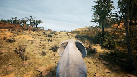 Animalia Survival (PC) - Steam Key - GLOBAL - 11